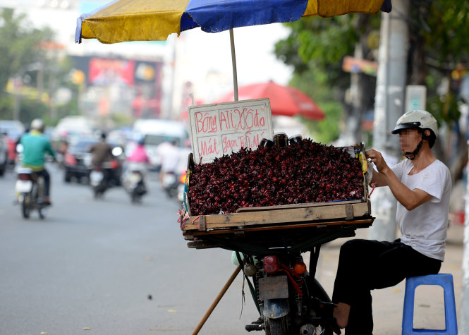 [-]Hoa[-]atisô[-]đỏ[-]không[-]phải[-]thần[-]dược